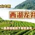 〔茶文化〕历史悠久且久负盛名的茶品，西湖龙井