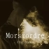 （无损音乐）国产最牛电音--Morsmordre