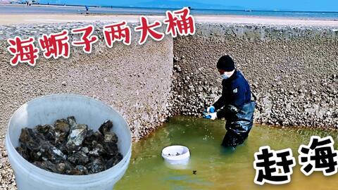 49c21b33fc96646c7155844e5feaeff7f857ba6b.jpg@480w_270h_1c