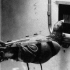 看看二战美军的脑洞：训练鸽子来制导炸弹，怎么做到的？