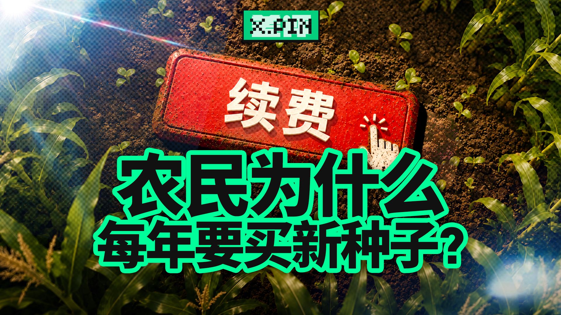 种子公司为啥能让农民心甘情愿买单？ 【差评君】