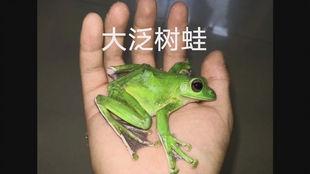 49f4c7b6fd096b85c9c4a9f2645ae7aac5651acf.jpg@310w_174h_1c_100q.jpg