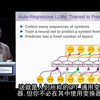 [中配] 杨立昆：AI能否超越猫和狗的智慧? part