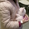 准备要上小学了，去体检和打疫苗