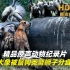 超清原声纪录片，精品动物世界纪录片之一头大象被鬣狗秃鹫狮子等动物的分食过程