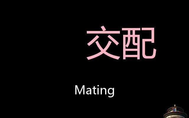 交配 Chinese Pronunciation mating