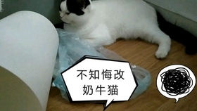 4a4240dad682c9dfad5acbd4996fb87c8053b99e.jpg@280w_158h_1c_100q.jpg