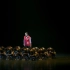 广西第十一届音乐舞蹈比赛节目《您的模样》（超清版）