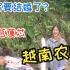 去拿香蕉树回家做酸菜，小粉和小竹还以为阿辉准备结婚，真搞笑的视频。
