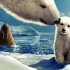 【国家地理】北极故事.1080P高码率.中英双语字幕（2007）Arctic Tale