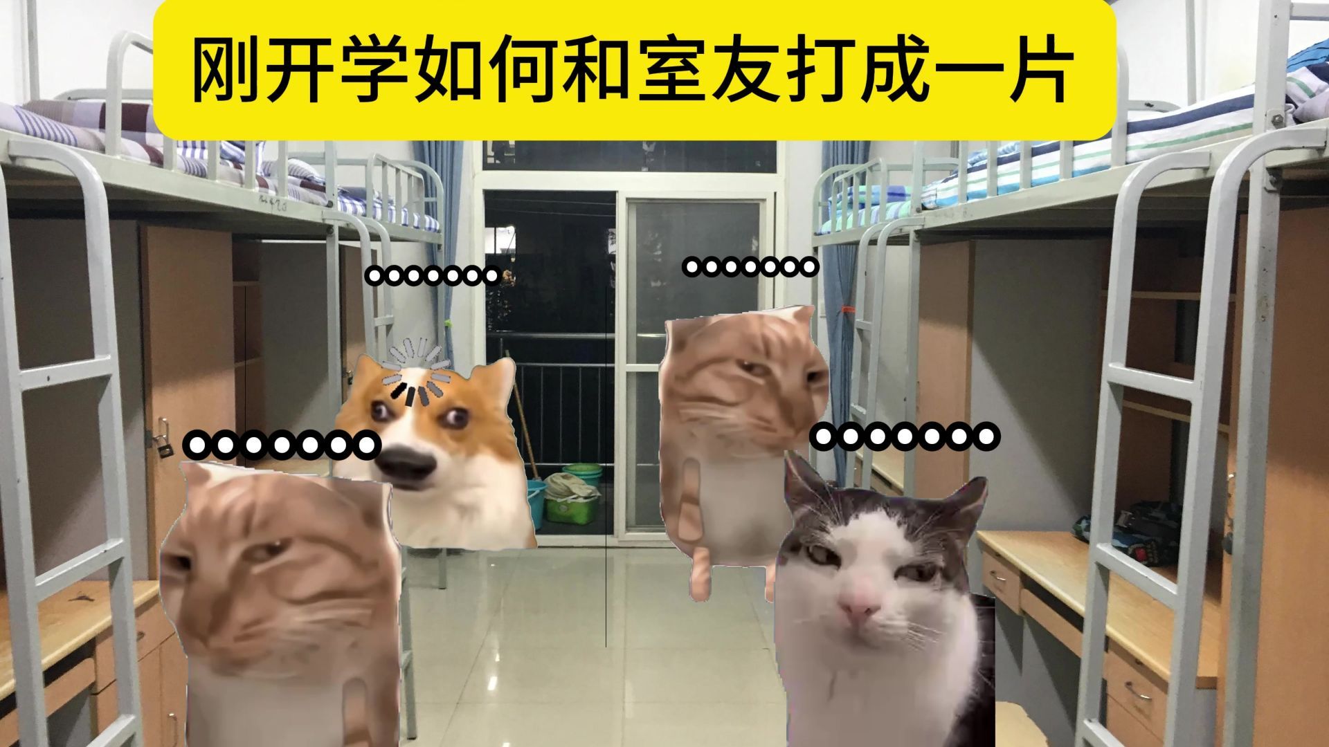 刚开学室友太社恐怎么办