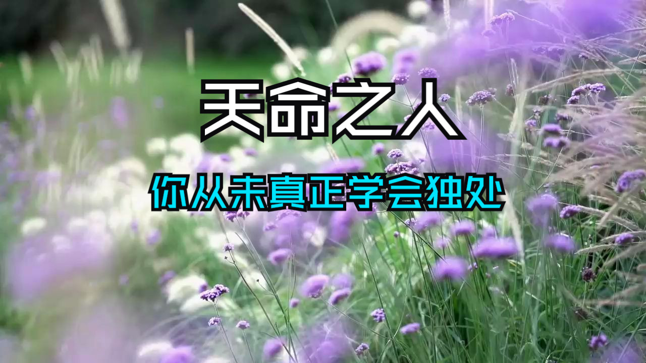 天命之人，你一直重视的真正力量，正是学会独处，保守秘密！