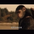 【来治猩猩的你~】《猩球崛起3：终极之战》发布最新预告【官方中字】