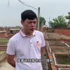 杀虫剂对黄缘龟有影响吗「龟谷鳖老