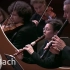 巴赫 勃兰登堡协奏曲 No.4 Bach: Brandenburg Concerto No.4,BWV 1049 - L