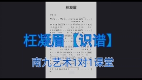 古筝枉凝眉曲谱_枉凝眉古筝曲谱最简单(4)