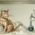 科学实验:薛定谔的猫真的半死不活吗？