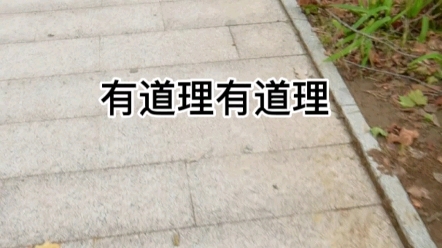 反正你说的有道理