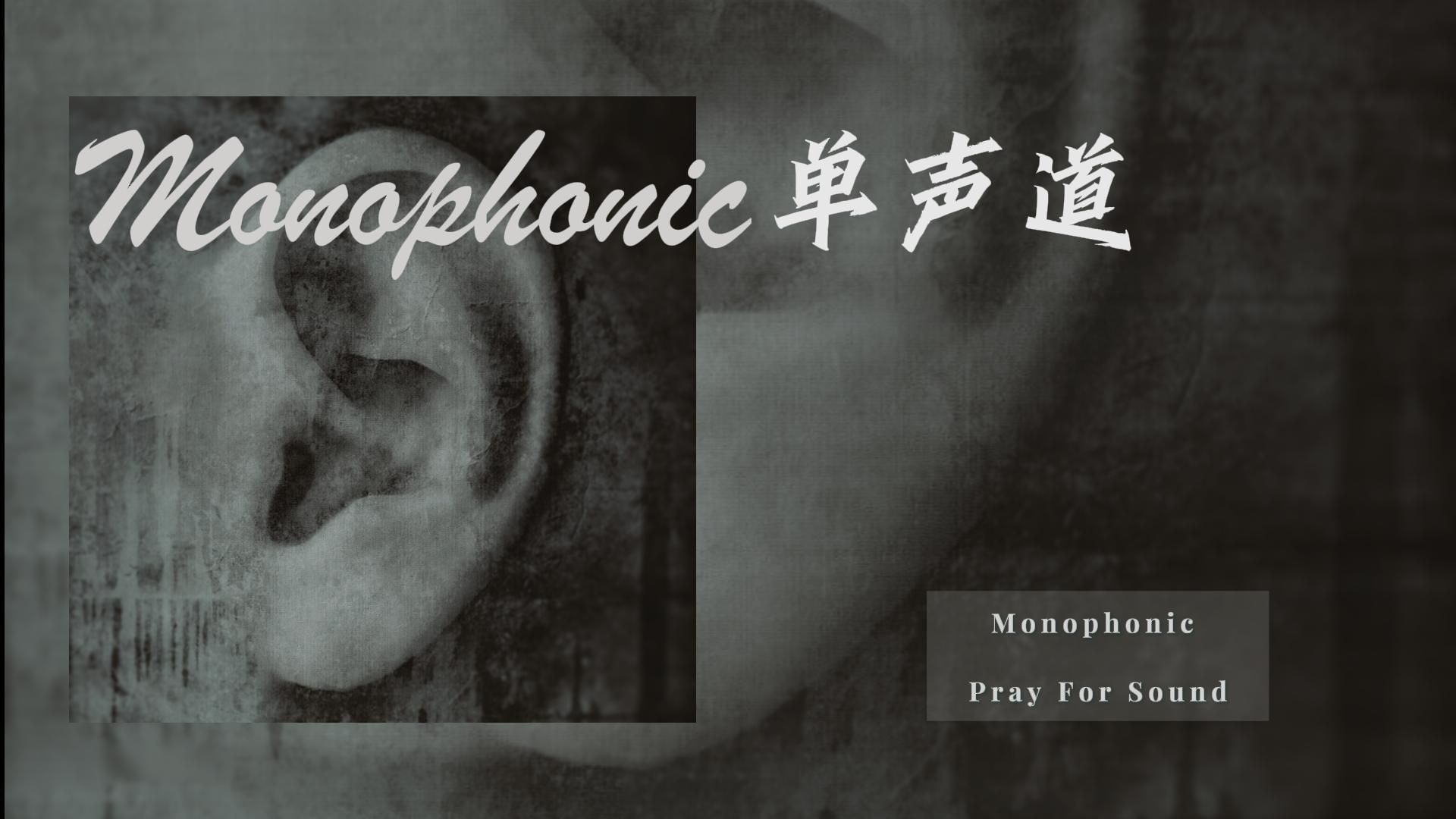 【后摇晚安Vol.128】Monophonic（单声道）/Pray For Sound/美国后摇