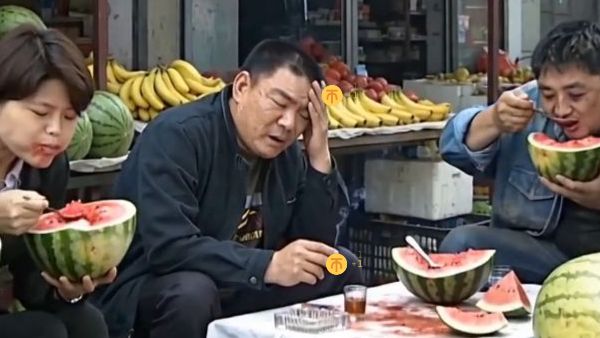 世界线错乱 错错错错乱