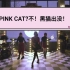 【F.L.C.T.】pink cat?不！年会现场黑猫出没！