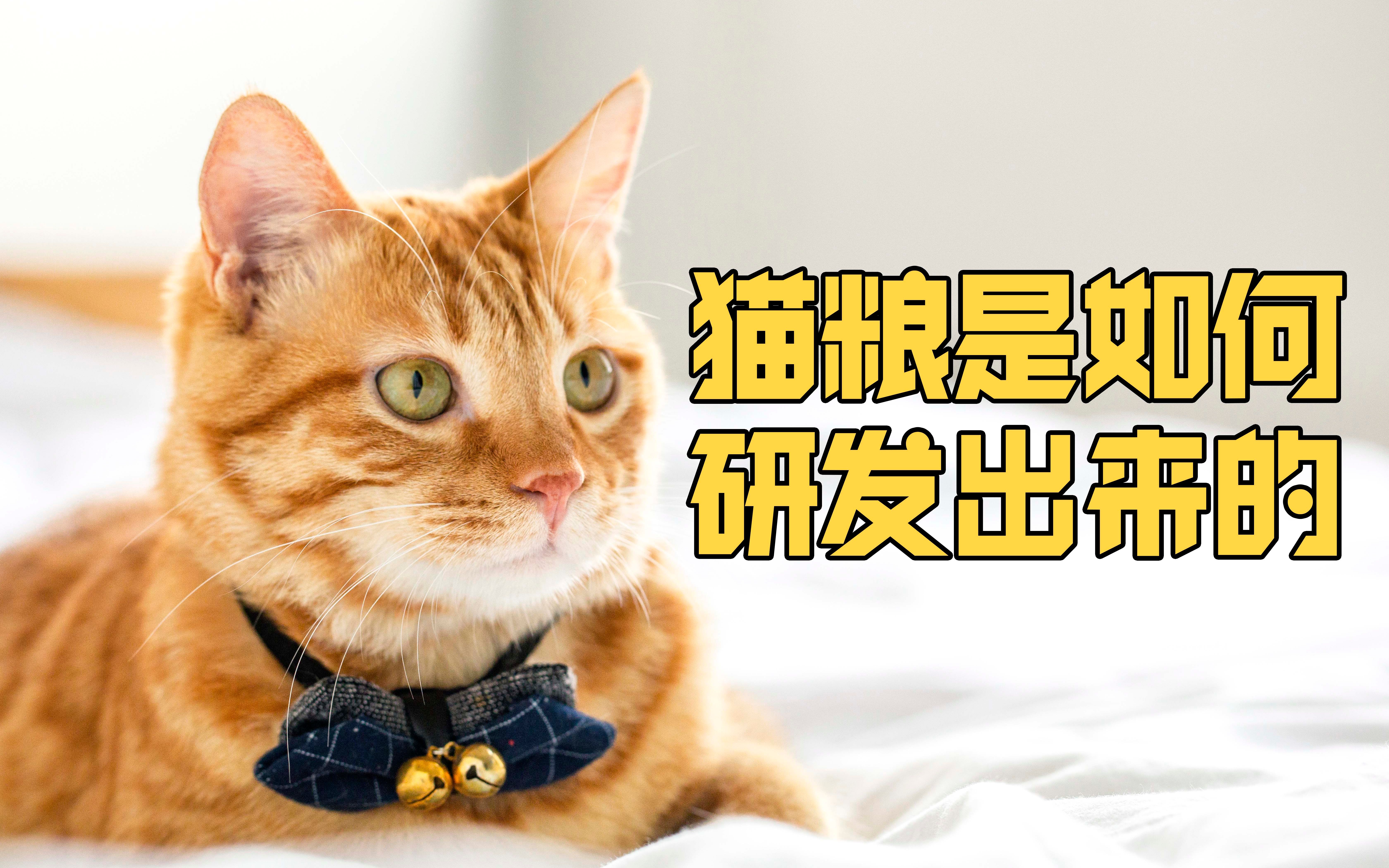 【宠物知识讲解员】一款优质猫粮的配方是如何研发出来的
