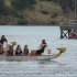 中国的传统赛龙舟，被复制到这个新西兰小镇成了他们的传统节目