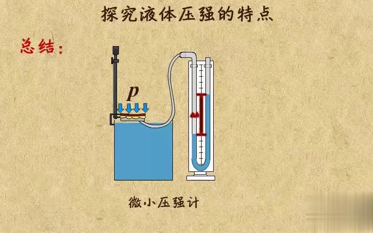 12. 探究液体压强的特点