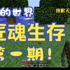 【我的世界】匠魂生存EP1 因不可抗拒因数导致的无法剪辑 真标题：这女巫是真的肉_我的世界