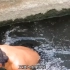 印尼小伙捕捉到一条十几斤的鳗鱼，被一位华人花重金买了下来