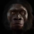 【热门推荐】一分钟展示600万年来人脸的变化