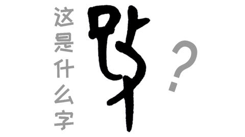 兕的读音是什么 4b120b071c94f2b1e8c6b8ed927067f3da0df224.jpg@480w_270h_1c