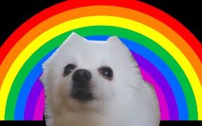 【油管鬼畜】Gabe the dog - Rainbow Tylenol