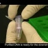 第二讲 DNA胶回收纯化