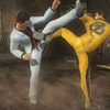 生死格斗  都是爷们，撩什么撩..._DOA5