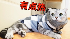 4bc82d7ba38fed11641b7d9d0688e30ec1deea6b.jpg@280w_158h_1c_100q.jpg