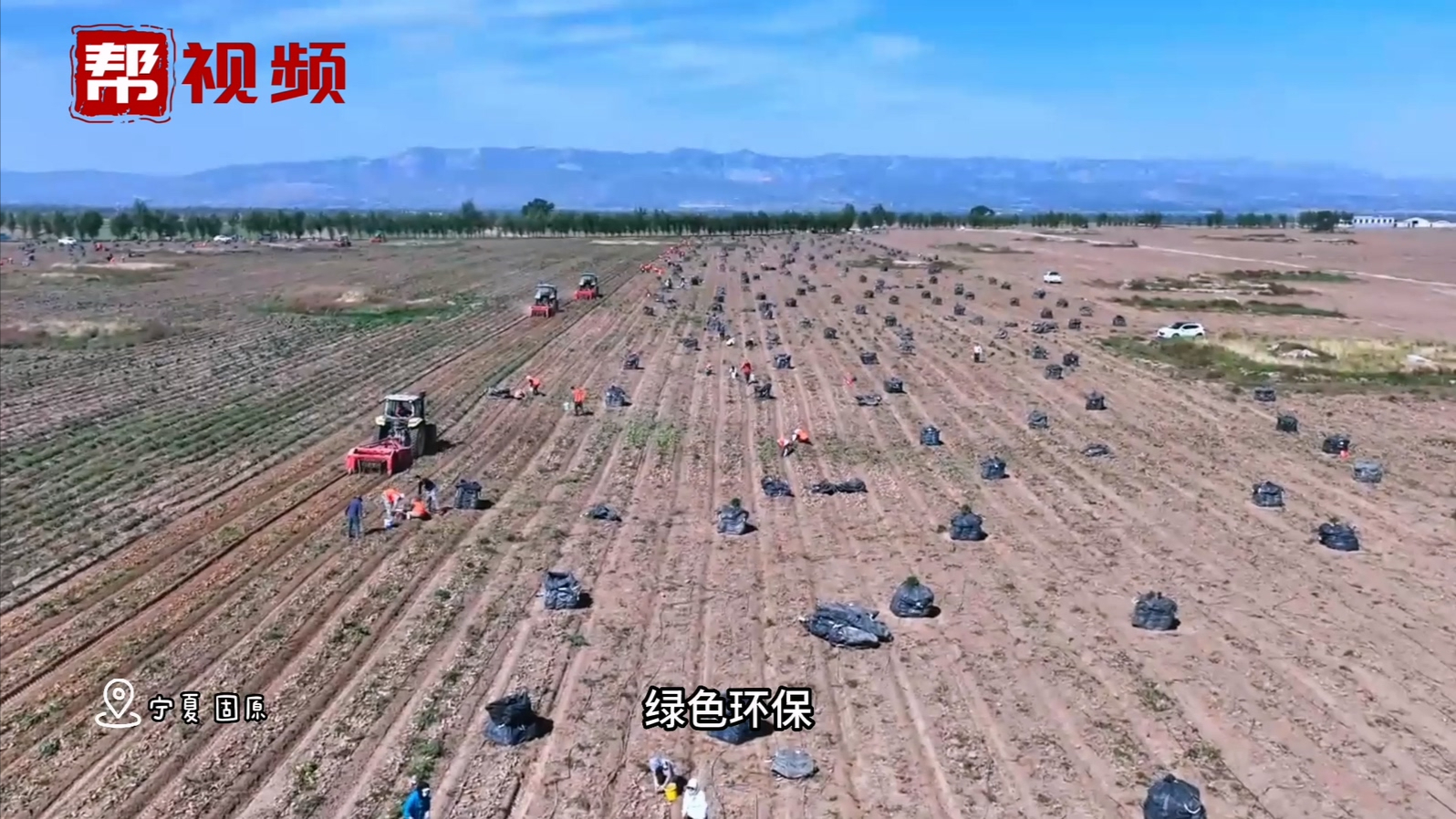 什么是冷凉蔬菜？走进宁夏 带你体验来自18度夏天的蔬菜