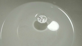 4c1b58c09200c7beb81055e6e9b0c5d075f896b3.jpg@280w_158h_1c_100q.jpg