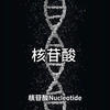 核苷酸