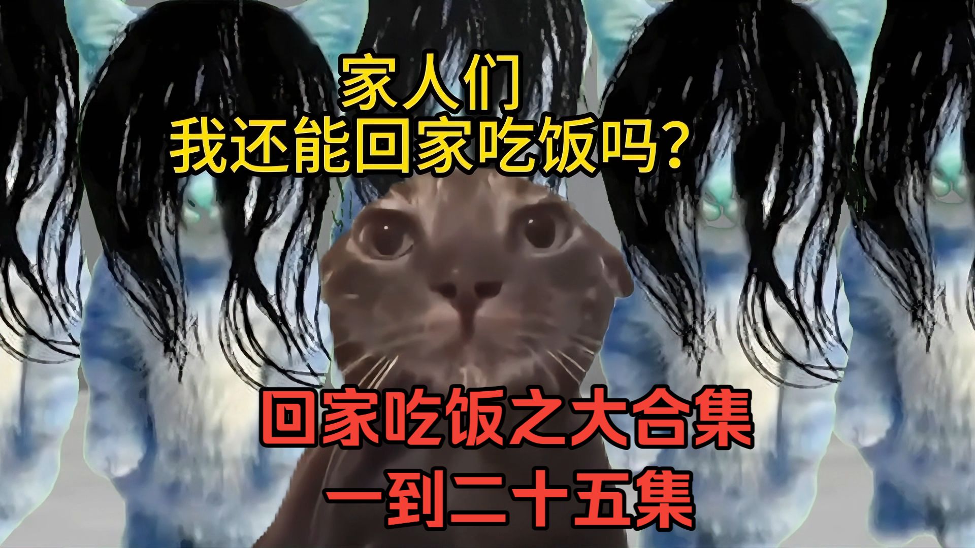 回家吃饭之一到二十五集