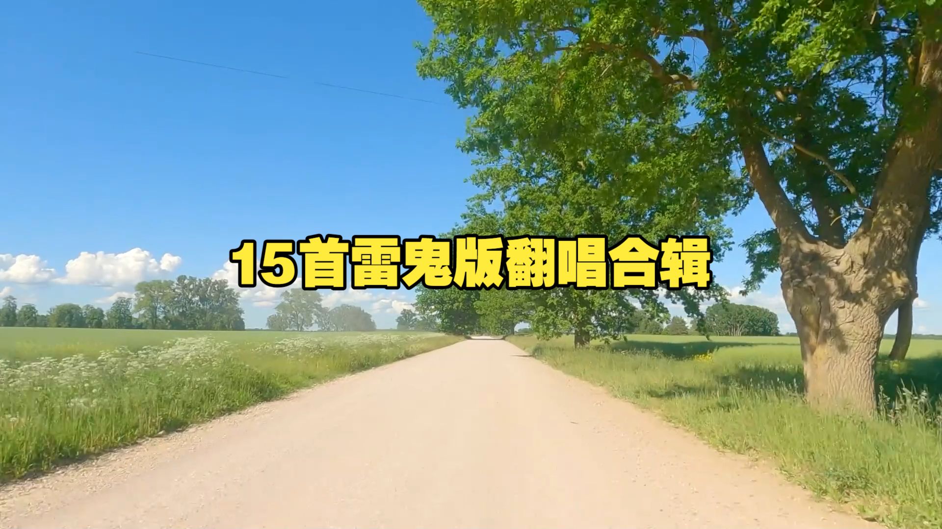 【中文经典雷鬼版翻唱合辑】《精选15首雷鬼版老歌翻唱合辑》一小时