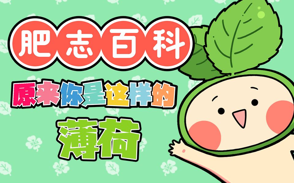 【独家】肥志百科 第27集 原来你是这样的薄荷【7月国创】