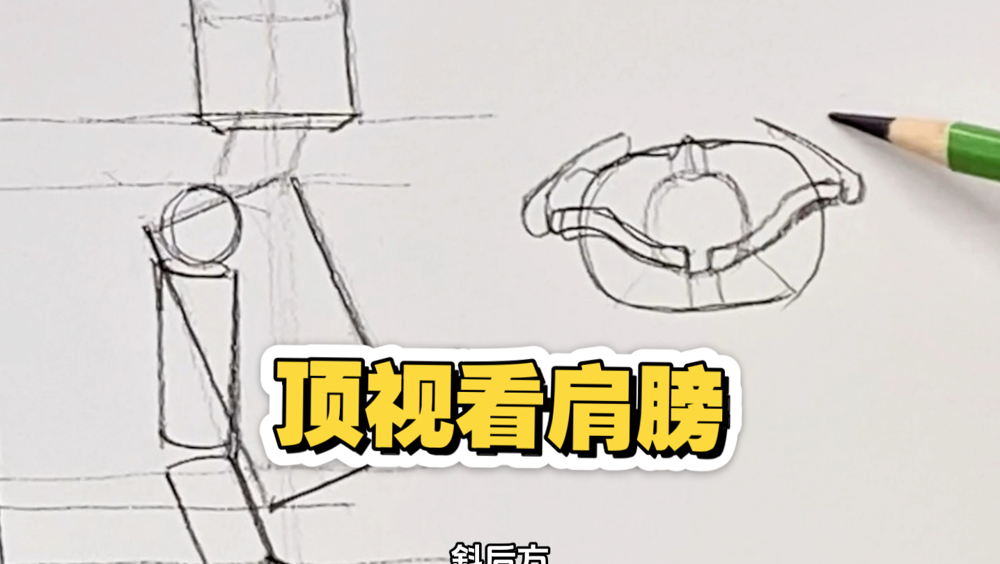 为什么肩膀不在身体侧面？从顶视角看懂肩部结构真相！