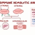 【Osmosis】Autoimmune Hemolytic Anemia