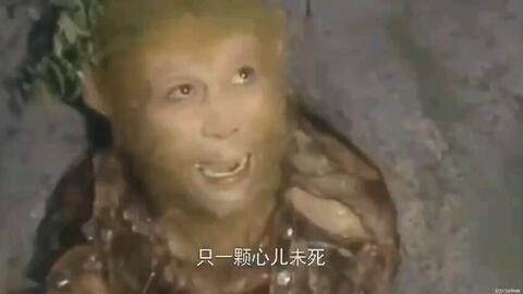 4c3e601f17f3399451ad90e5784d301446ee0a60.jpg@480w_270h_1c