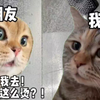 未解之谜:女 生 洗 澡 水 的 “温度