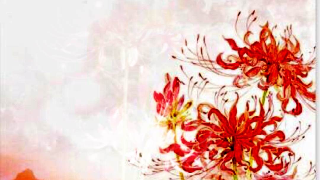 cv贾诩红颜旧剪辑