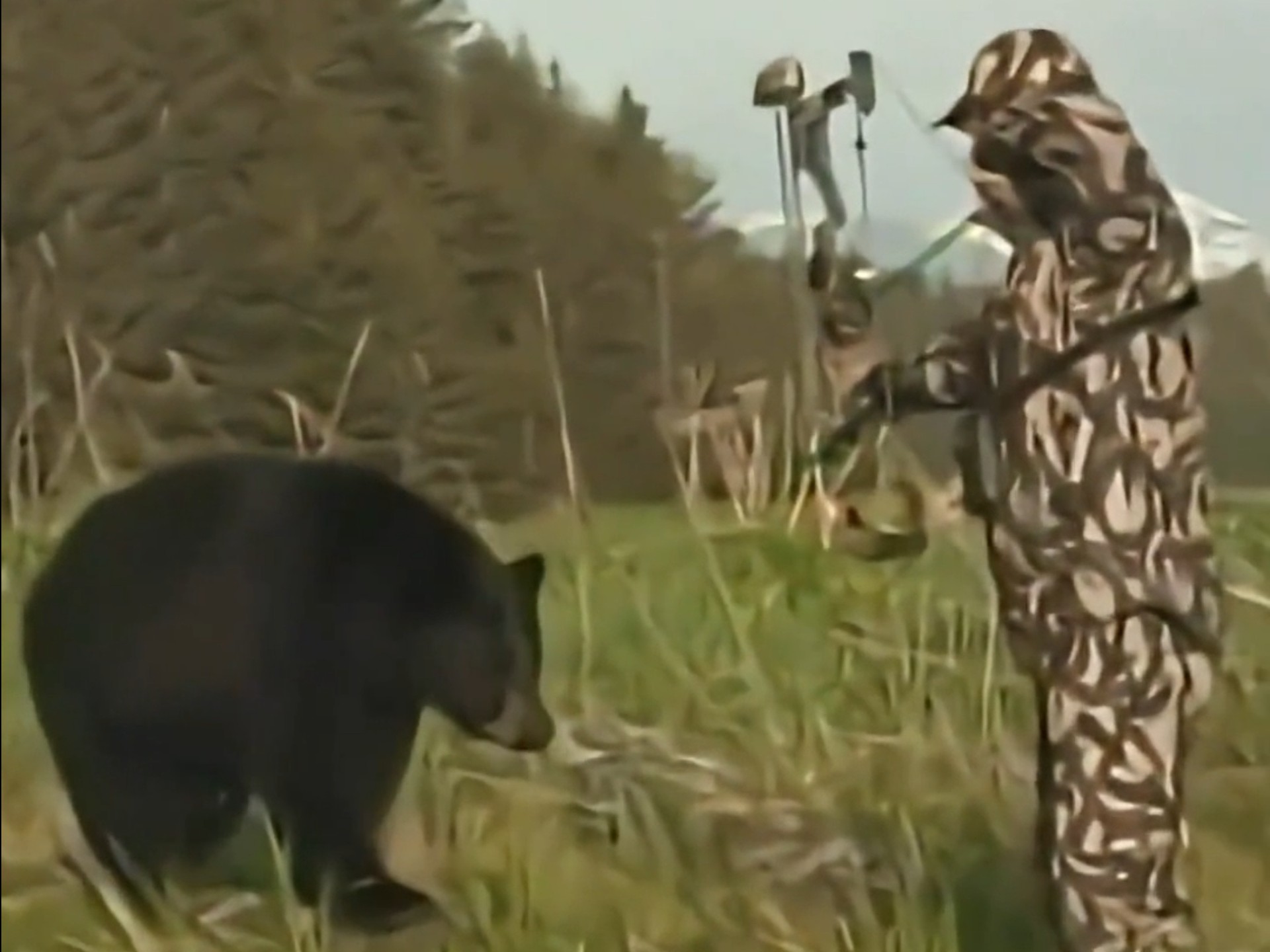 “复合弓的威力很大吗”