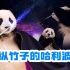 【中字】＜熊猫来啦＞丨230811丨嘘！大家都安静点吧！ 从天才熊猫福宝惊人的竹子艺术现场到爱宝掉下福袋的故事