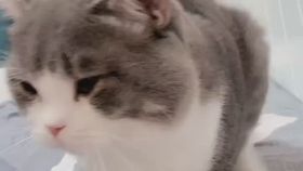 4c8240d4fdf9a1341dcd590057444f4a664931ab.png@280w_158h_1c_100q.jpg